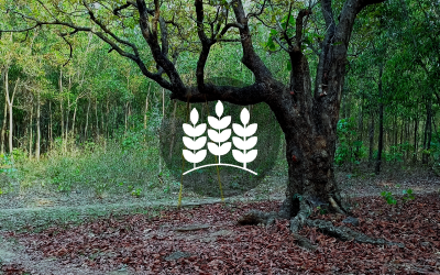 Project Development image